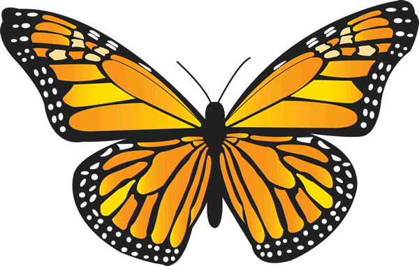 Monarch butterfly butterfly images clipart