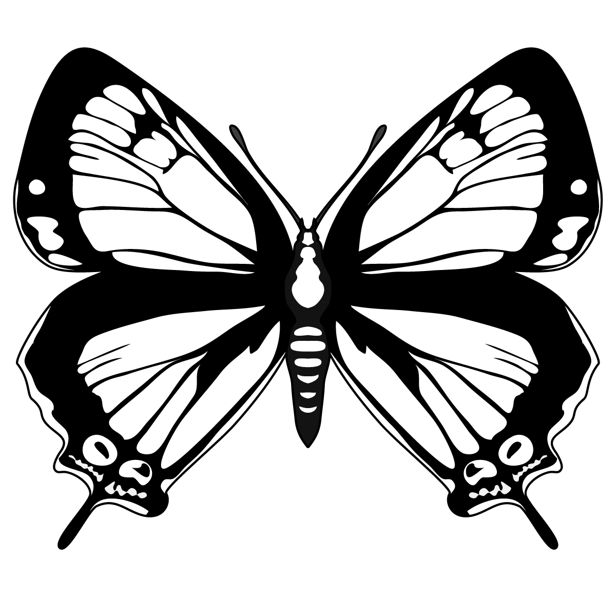 Monarch butterfly butterfly images free clipart