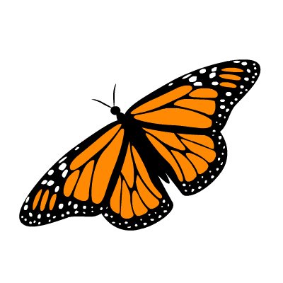 Monarch butterfly butterfly pictures the largest free butterfly picture website clipart