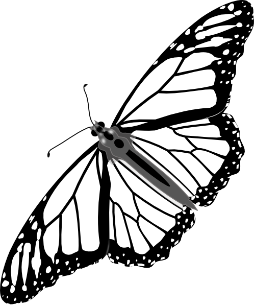 Monarch butterfly bw no shadow clip art at vector clip