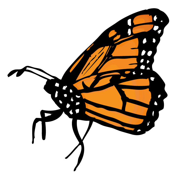 Monarch butterfly clip art clipart 2