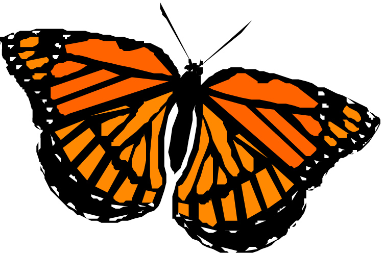 Monarch butterfly clip art clipart