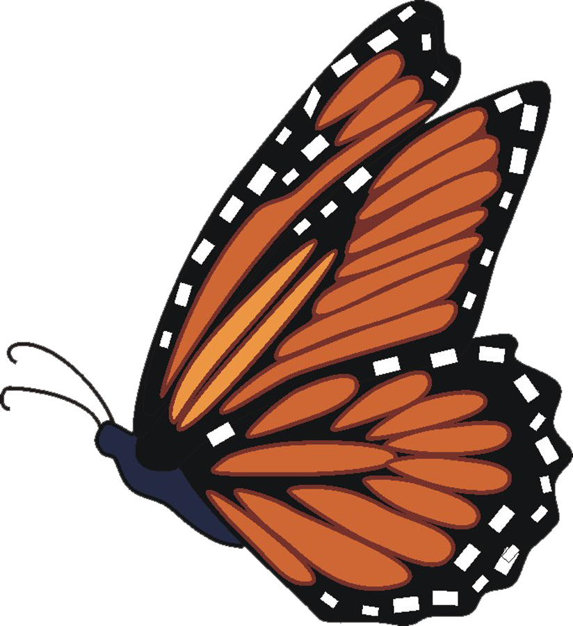 Monarch butterfly clipart clipart