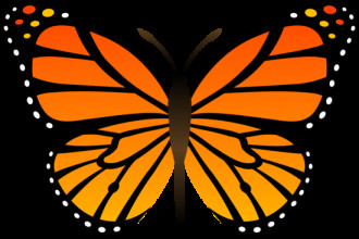 Monarch butterfly clipart monarch butterfly clip art
