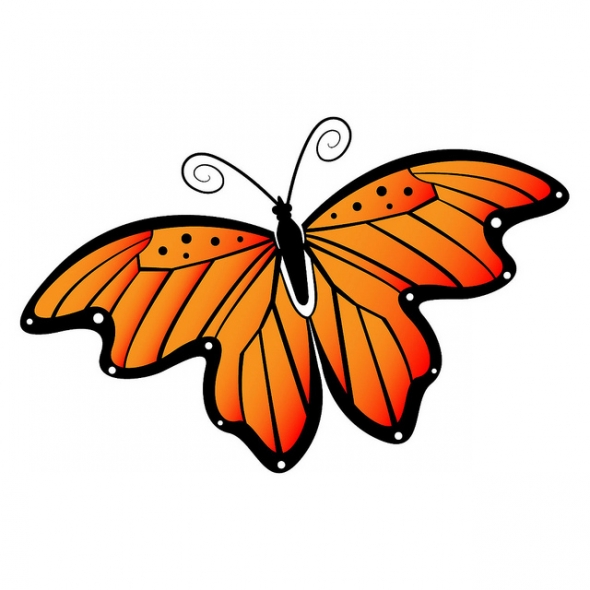 Monarch butterfly pictures butterfly flying clipart 2