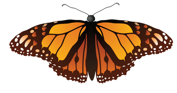 Monarch butterfly summer images 2 clipart