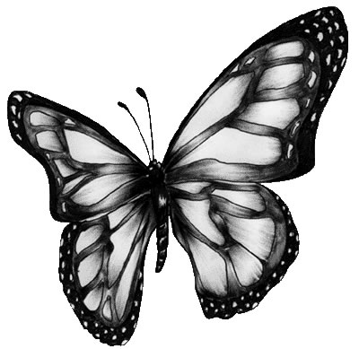 Monarch butterfly uqewa animated butterfly clipart 2