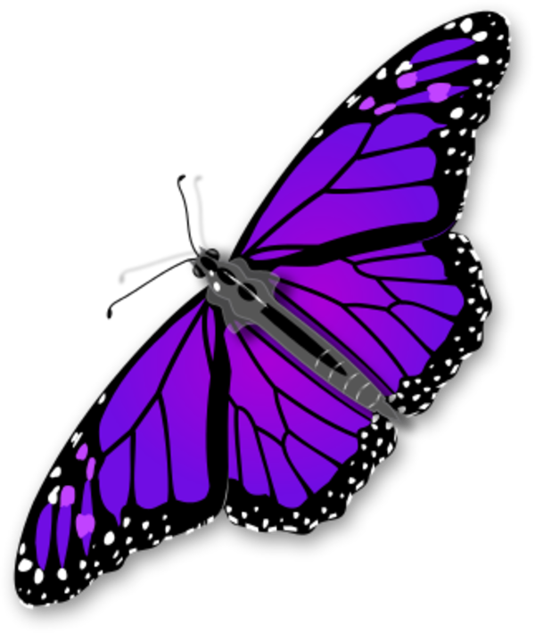Monarch butterfly vector clip art clipart clipart