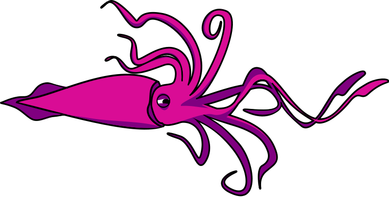 Squid clip art free free clipart images