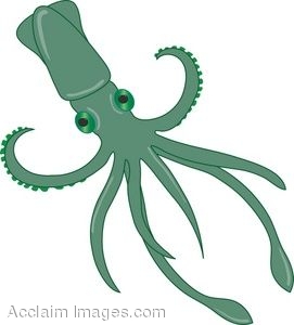 Squid clipart free clipart images