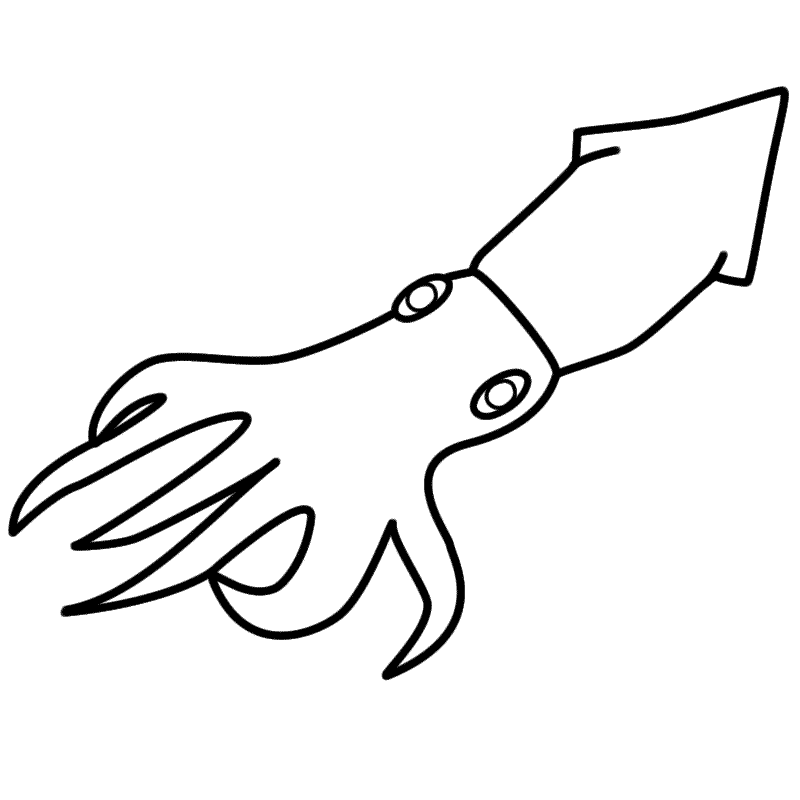 Squid coloring page free clipart images