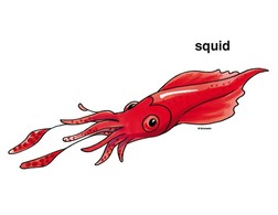 Squid trouble printing clip art free clipart images