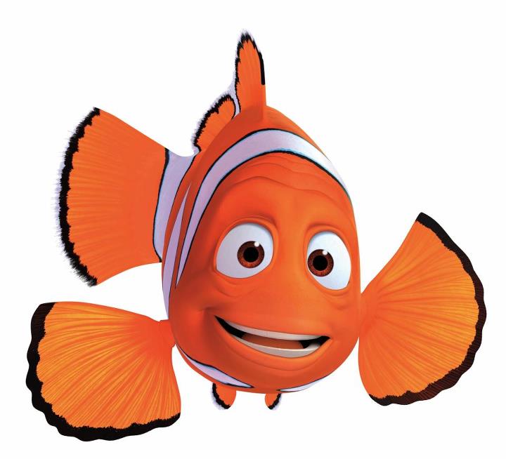 Nemo tiger clip art vector
