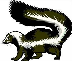 Free skunk clipart