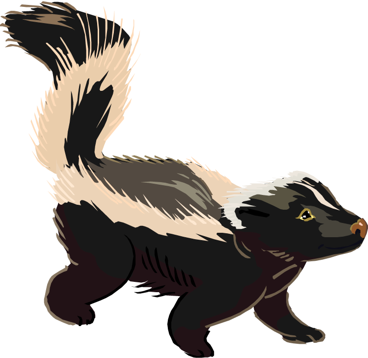 Skunk clipart free free clipart images 3