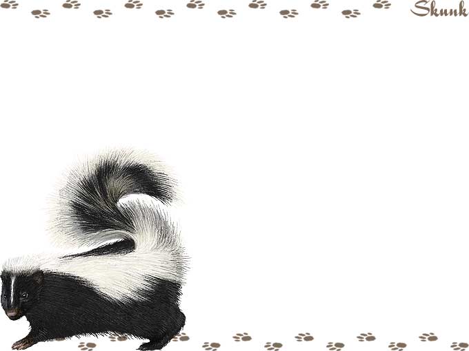 Skunk october 5 animal aid clinic south clipart