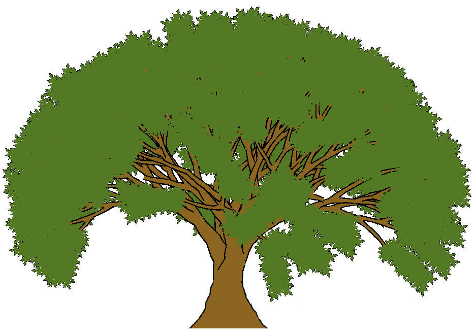 Cartoon oak tree clipart
