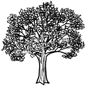 Clip art oak tree 