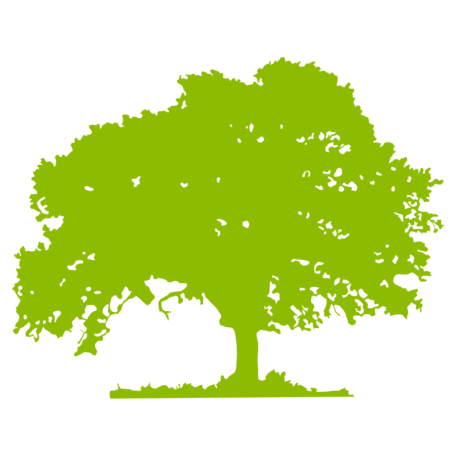 Gallery for oak tree vector free download clip art