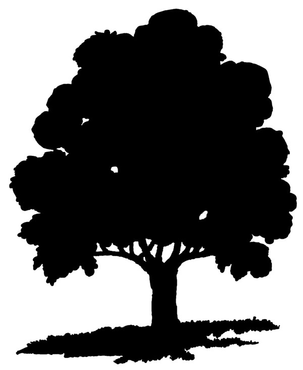 Oak tree clipart black and white free clipart images 2