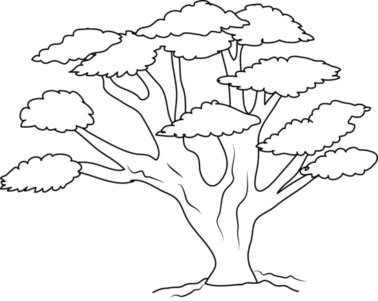 Oak tree coloring page free clip art