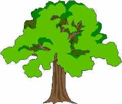 Oak tree tree clip art free clipart images clipart