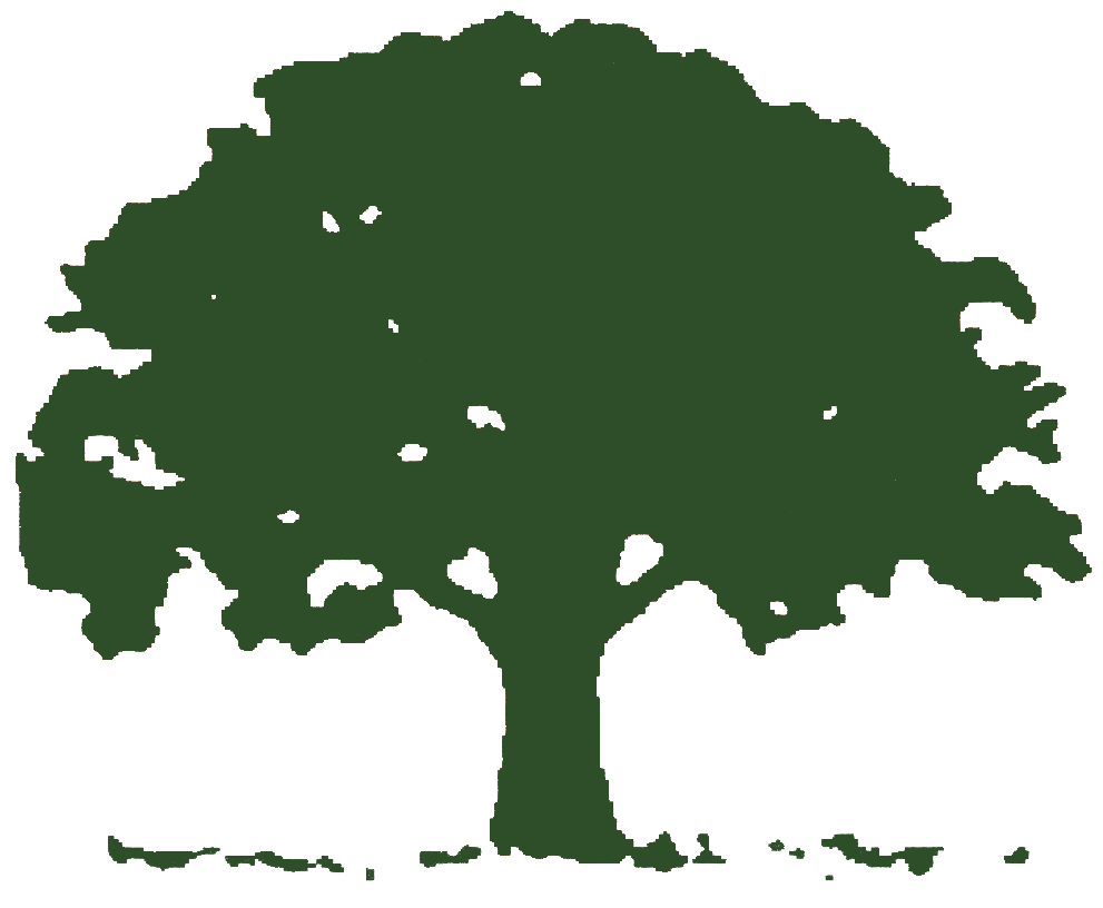 Oak tree treelogo clipart