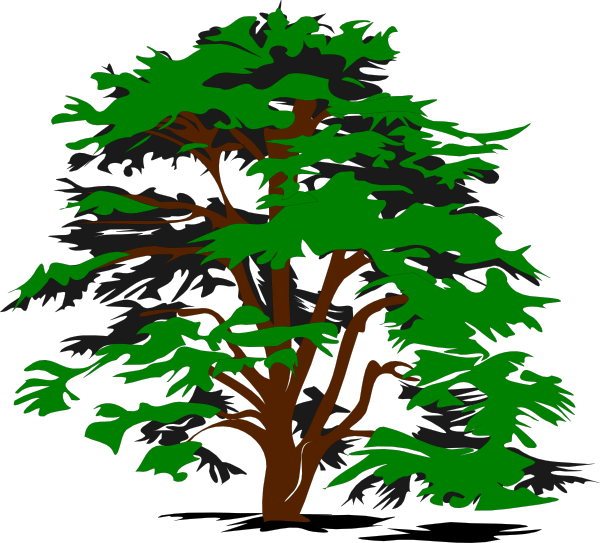 Oak tree vector free download free clipart images 2