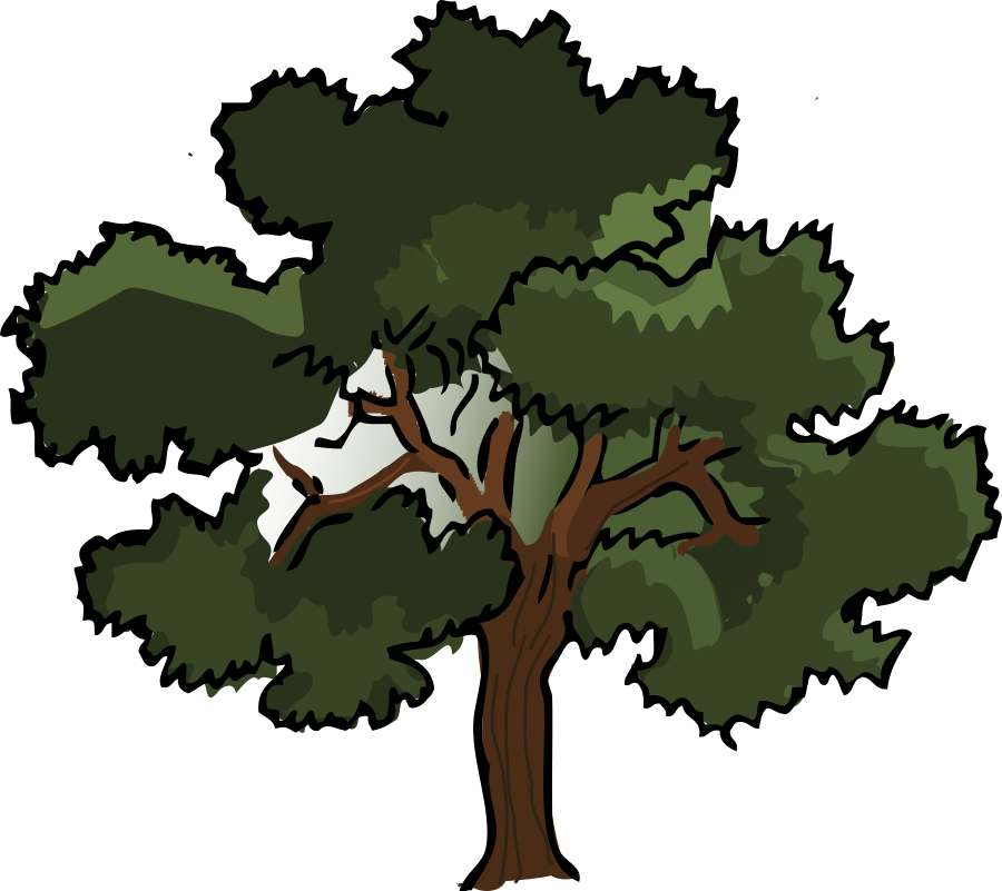 Oak tree vector free download free clipart images