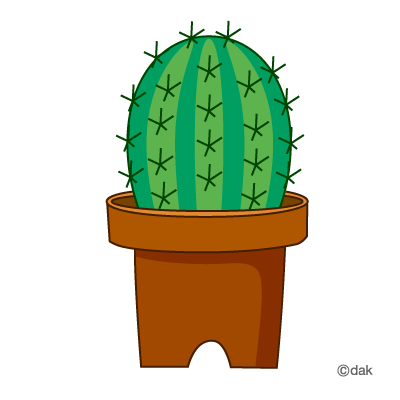 Cactus pictures of clipart and graphic design and illustration