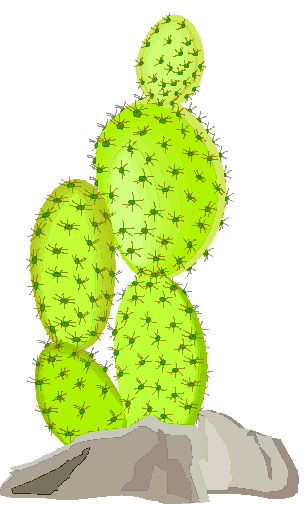 Clip art clip art cactus 6