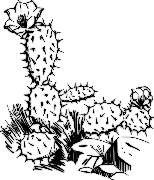 Free cactus clipart public domain plant clip art images and 2