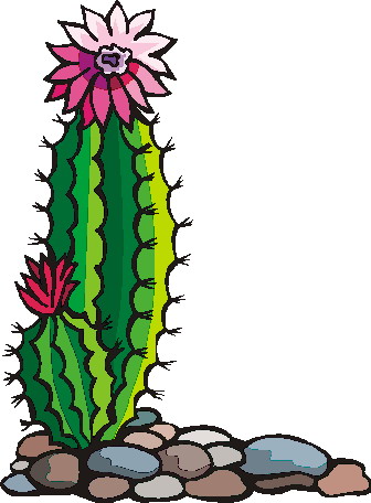 Gallery for cactus flower clipart 2