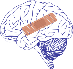 Brain with bandaid clip art at vector clip art
