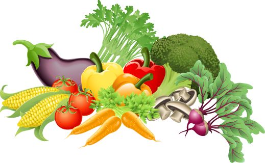 Great clip art of vegetables vegetables clip art and page borders