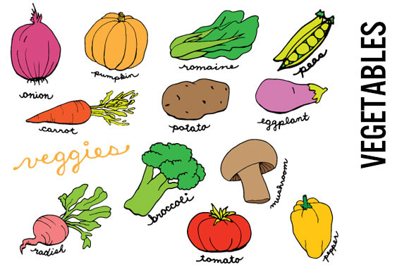 Vegetables doodle clip art illustrations on creative market