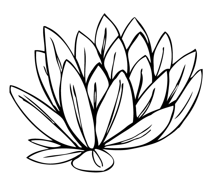Cartoon water lily clip art image search results clipart
