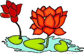 Clip art clip art water lily 2