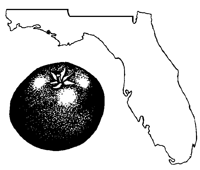 Florida food clipart page 