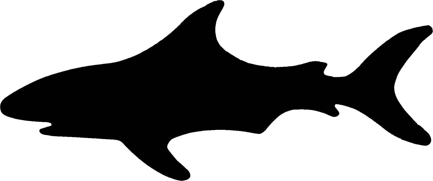 Florida shark images clipart clipart