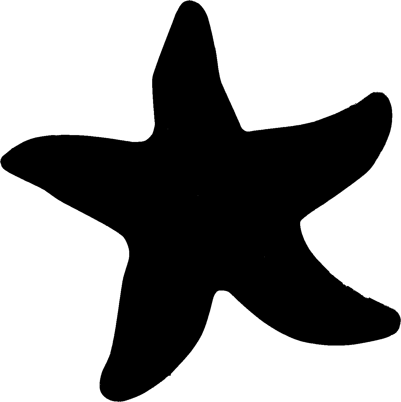 Florida starfish clip art clipart