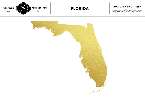 Florida state gold foil clip art objects on creative market