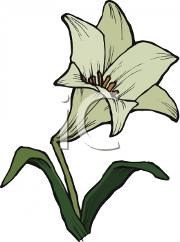 Free lily clip art flower clipart