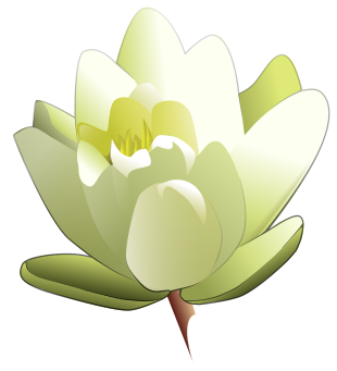 Free lily clipart public domain flower clip art images and graphics