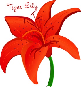 Lily clip art