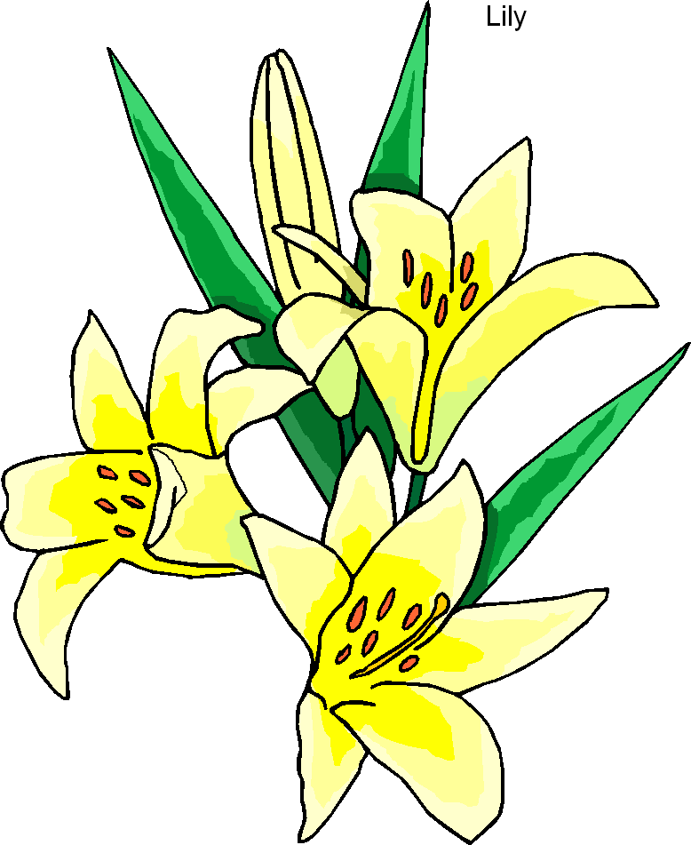 Lily image clip art lilies flowers 2