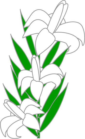 Lily image easter liles clip art