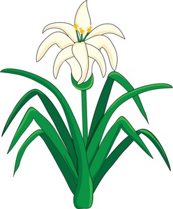 Lily image free clip art of easter lilies