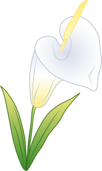 Single white calla lily free clip art