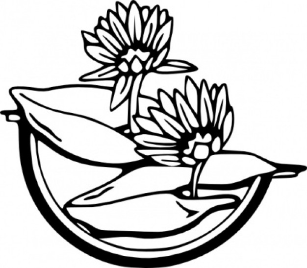Water lily clip art download